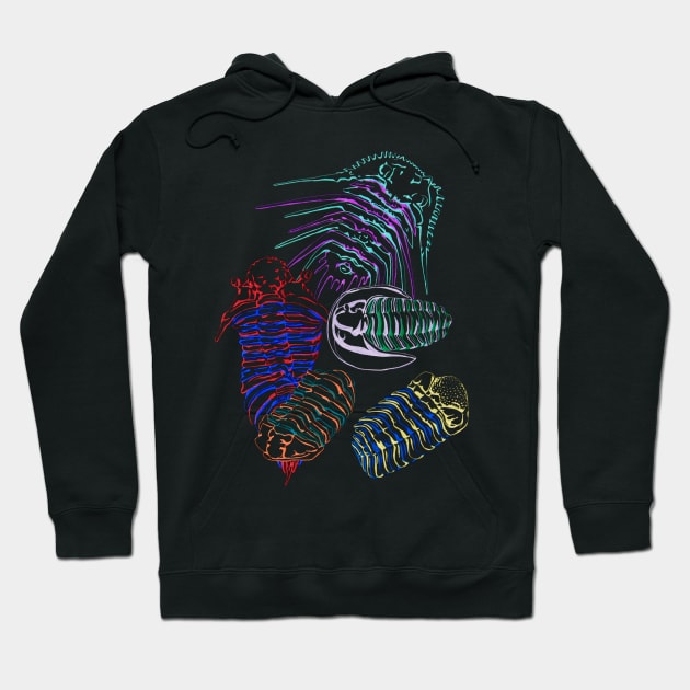 Silurian and Devonian Era Trilobites Hoodie by RaLiz